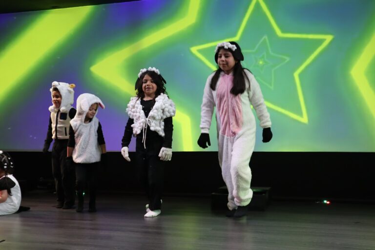 491973272 122203646126248216 5121261059026822388 n